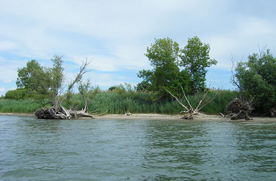 Protéger l'environnement de la réserve faunique des des Îles-de-la-Paix dans le Lake Saint-Louis