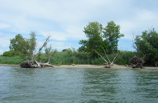 Protéger l'environnement de la réserve faunique des des Îles-de-la-Paix dans le Lac Saint-Louis