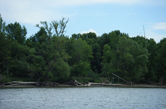 Protéger l'environnement de la réserve faunique des Îles-de-la-Paix dans le Lac Saint-Louis