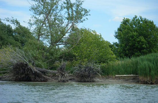 Protéger l'environnement de la réserve faunique des Îles-de-la-Paix dans le Lac Saint-Louis